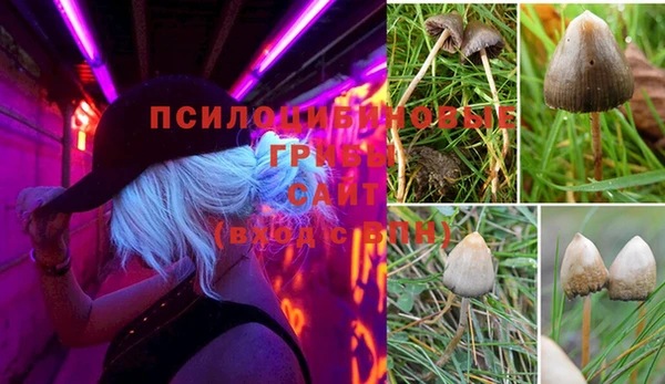 ПСИЛОЦИБИНОВЫЕ ГРИБЫ Лиски