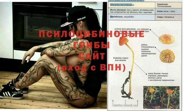 стафф Ладушкин