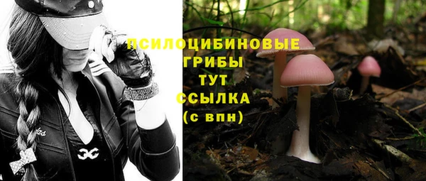 а пвп мука Алзамай
