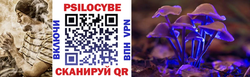 купить закладку  Лесной  Галлюциногенные грибы MAGIC MUSHROOMS 