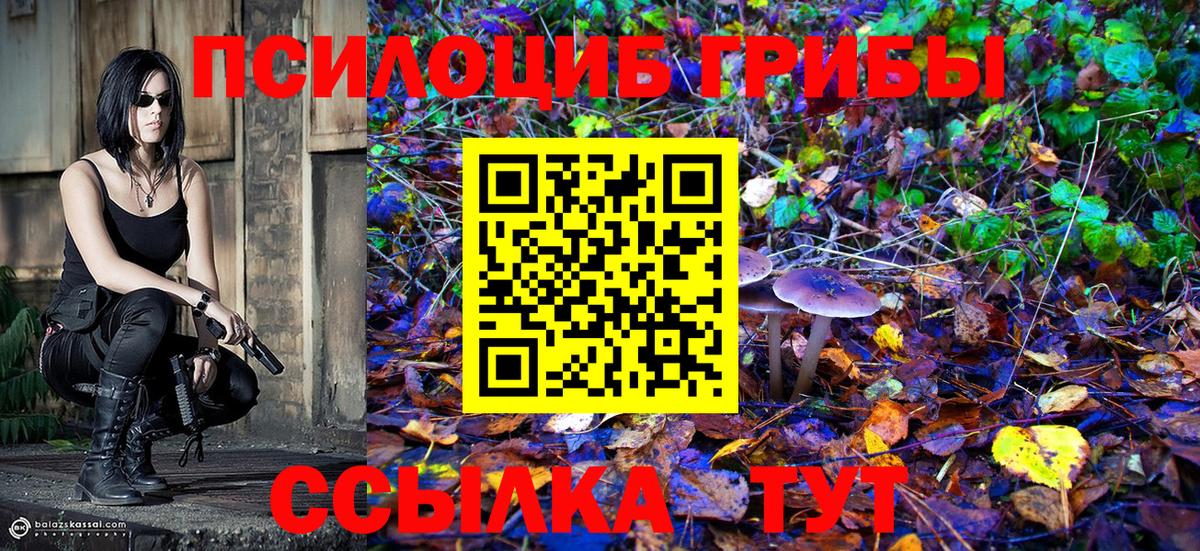 Псилоцибиновые грибы мухоморы Лесной