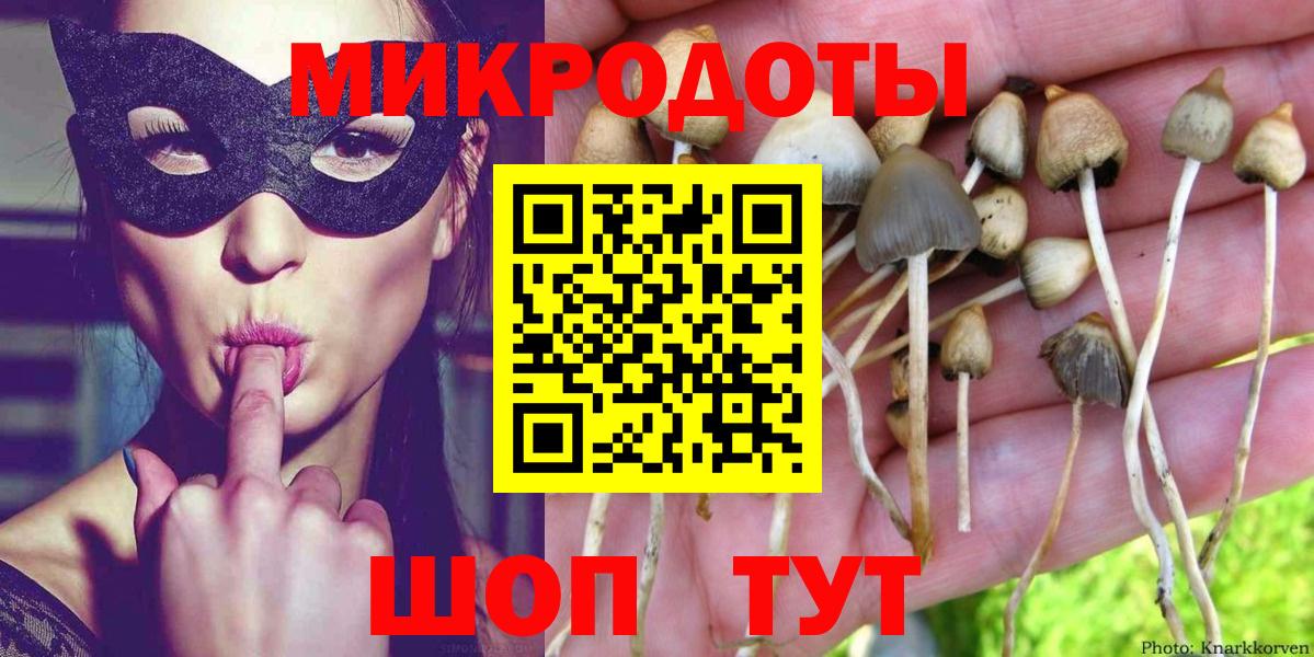 цена   Псилоцибиновые грибы MAGIC MUSHROOMS  Псилоцибиновые грибы Magic Shrooms  Вход с VPN  Лесной 
