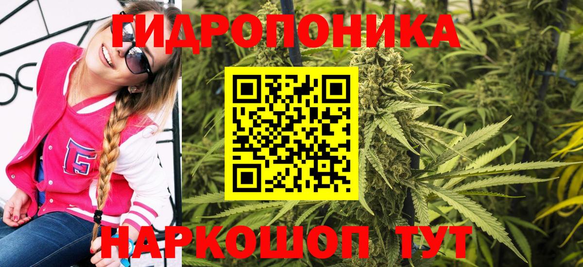 Шишки марихуана SATIVA & INDICA  МАРИХУАНА White Widow  Шишки марихуана OG Kush  Лесной 